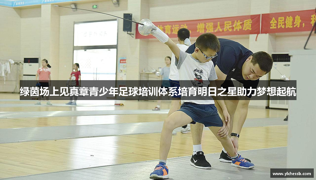 绿茵场上见真章青少年足球培训体系培育明日之星助力梦想起航